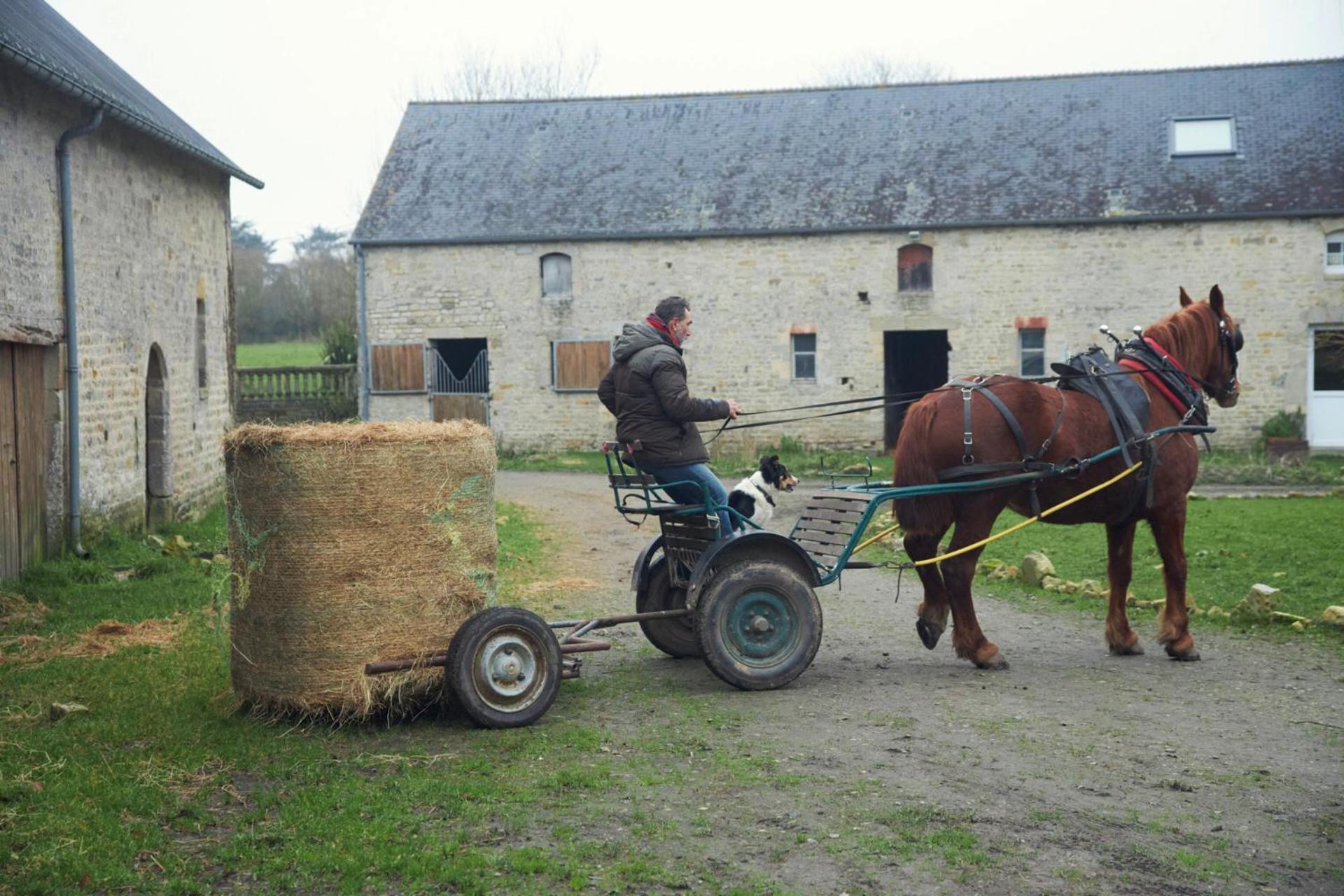 Ferme De Franqueville Sainte-Marie-du-Mont  Eksteriør billede